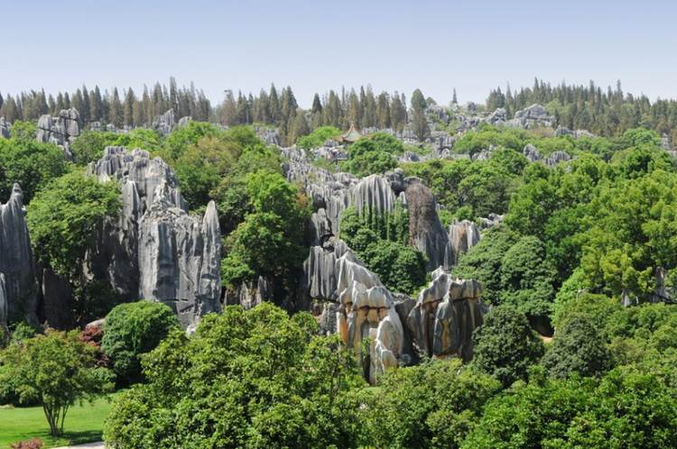 Chinese Rock Formations In The Stone Forest