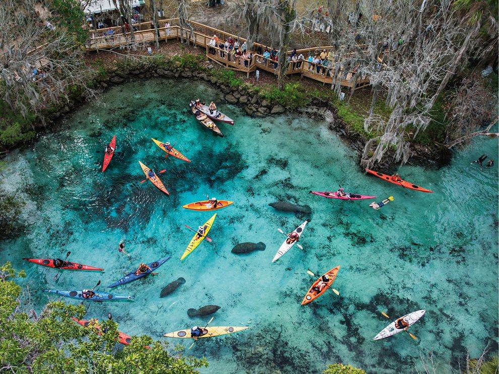Kayaks Manatees Three Sisters Springs Florida