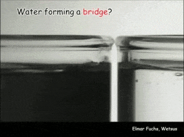 reaction-gifs-water-bridge.gif