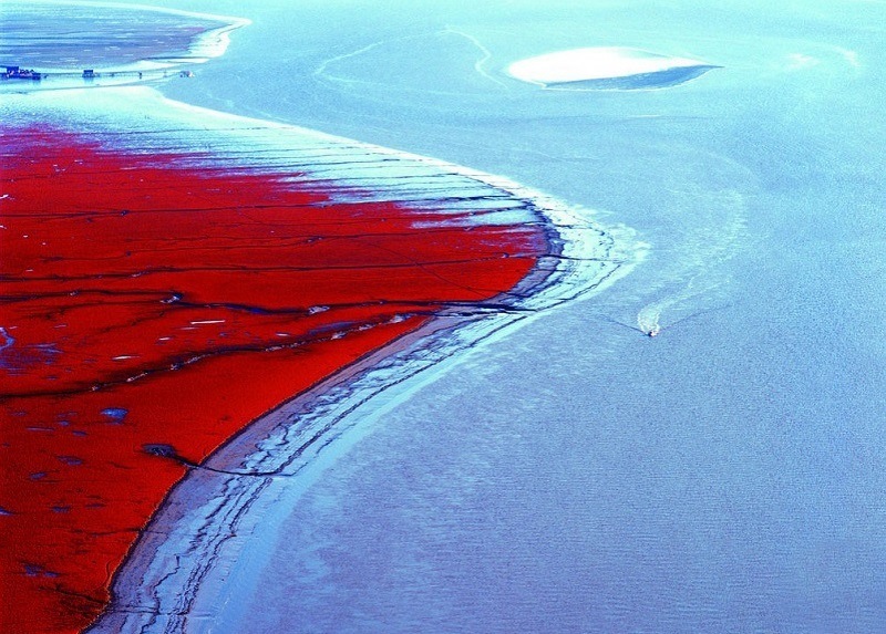 Surreal Places Red Beach in China