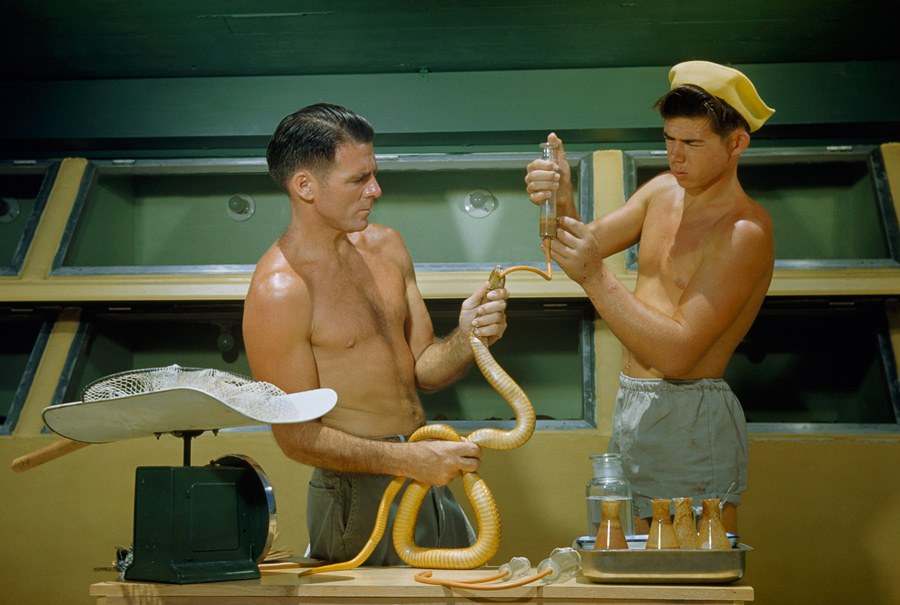 National Geographic 1950s Snake Feeding