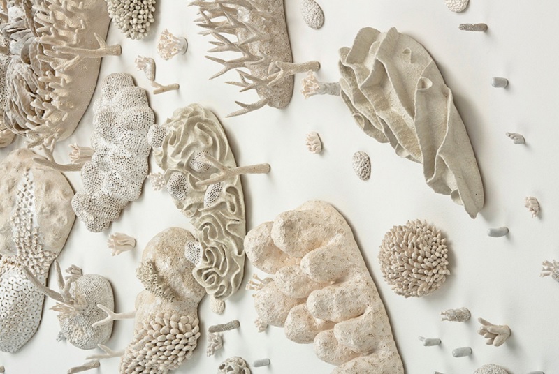 Bleached Coral Artwork