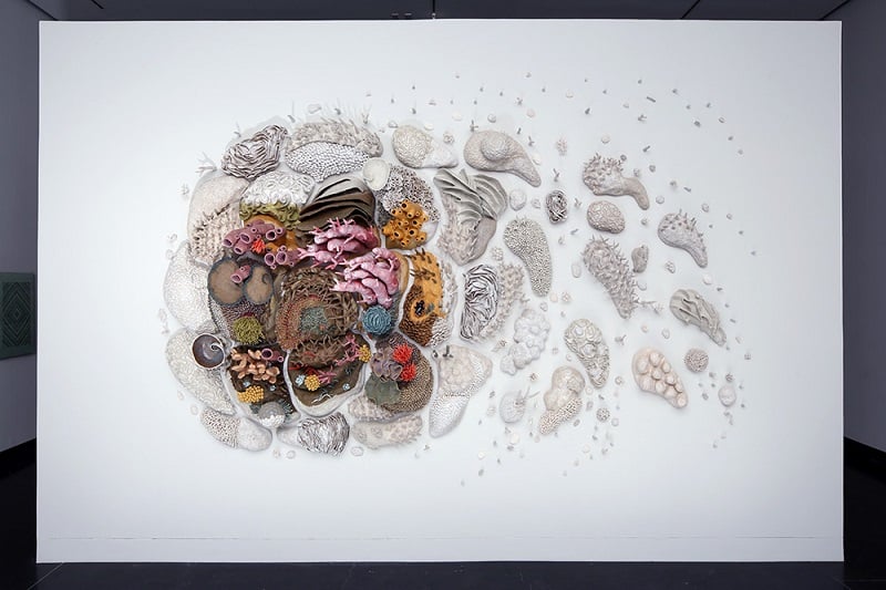 Porcelain Coral Artwork by Courtney Mattison