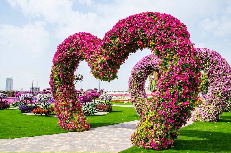 Beautiful Flowers Garden In The World