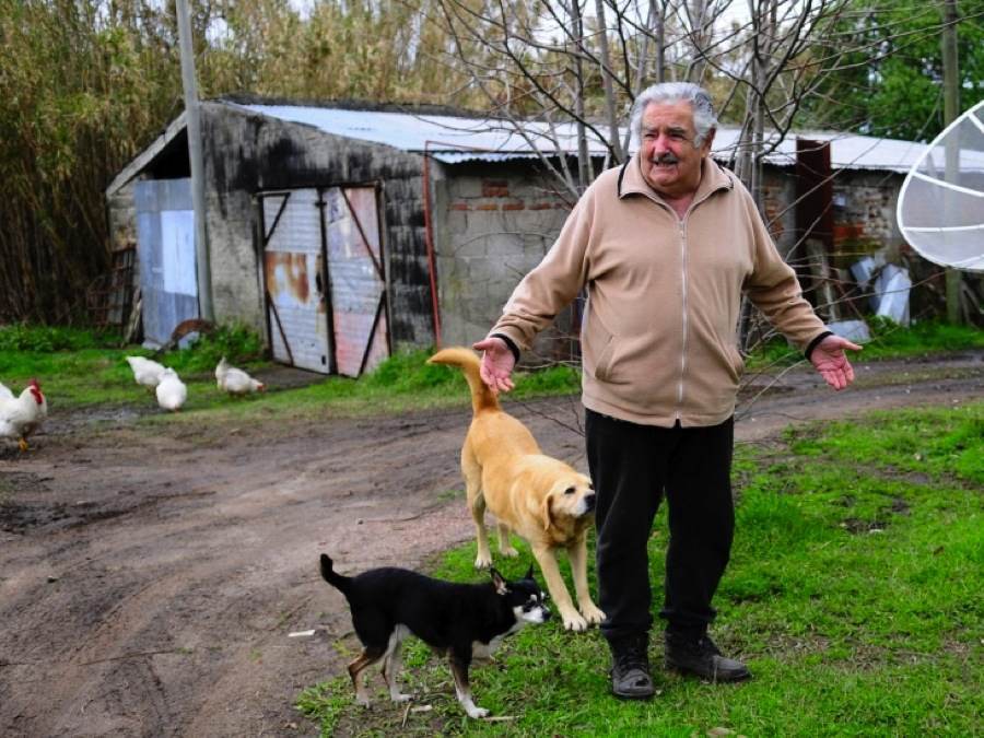 Image result for jose mujica farm