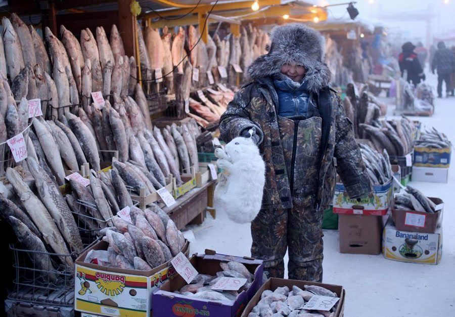 coldest city fish market