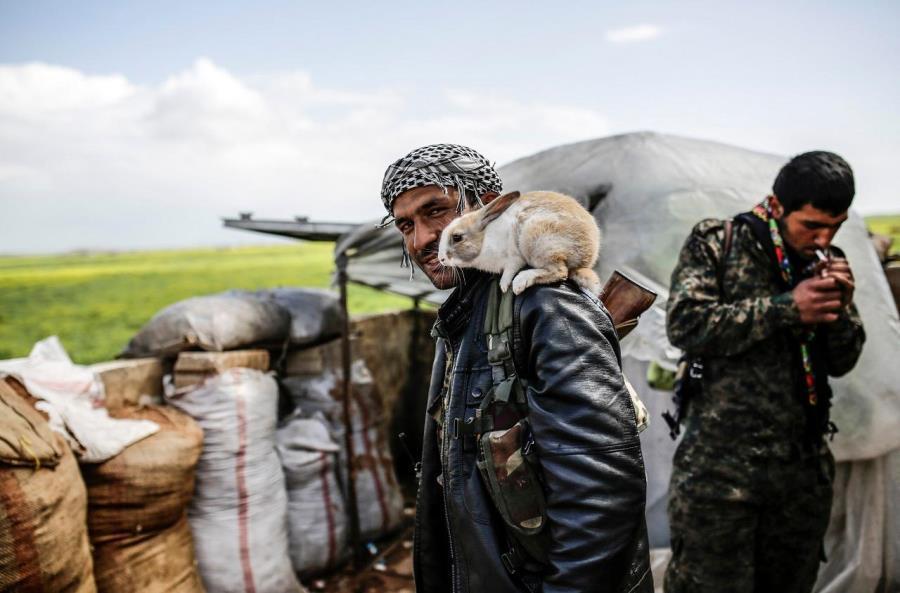 Syrian Peshmerga Fighter
