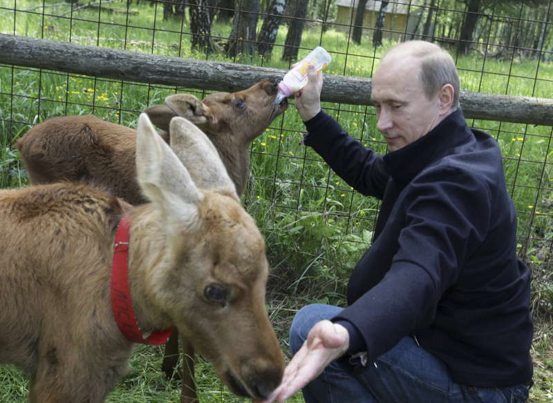 Glamorous Putin Elk Moscow