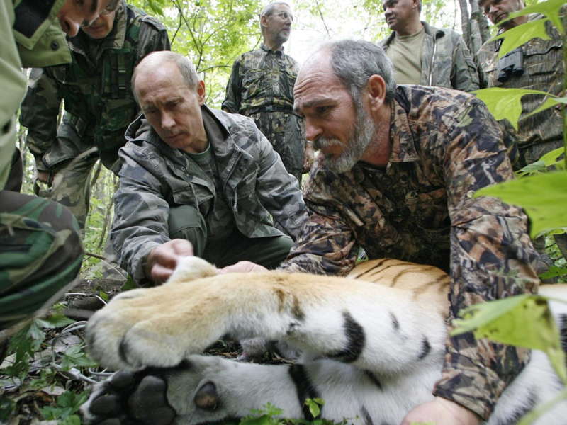Putin With Tiger