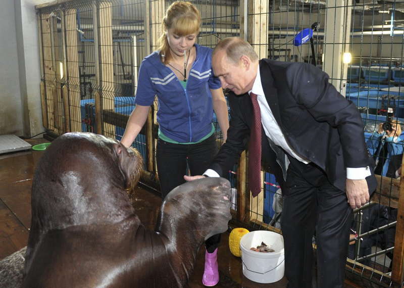 Putin With Walrus