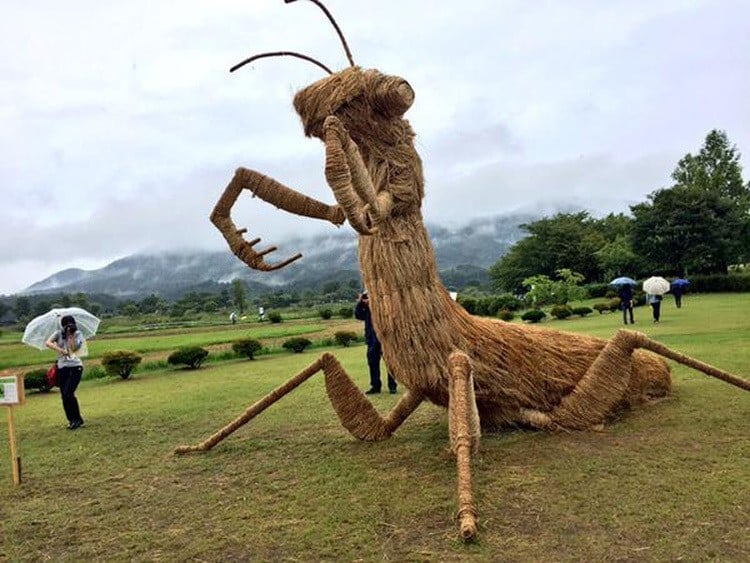 Японский соломы Скульптуры Mantis