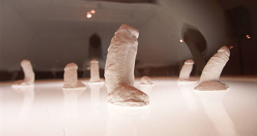 Mold Of Penis 24