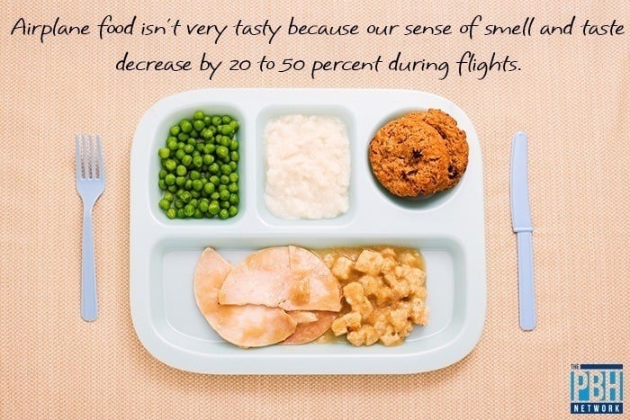Fascinating Facts About Airplane Food