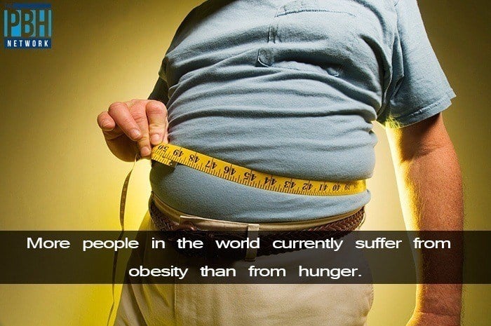 Obesity In The World